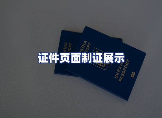 证件页面制证展示